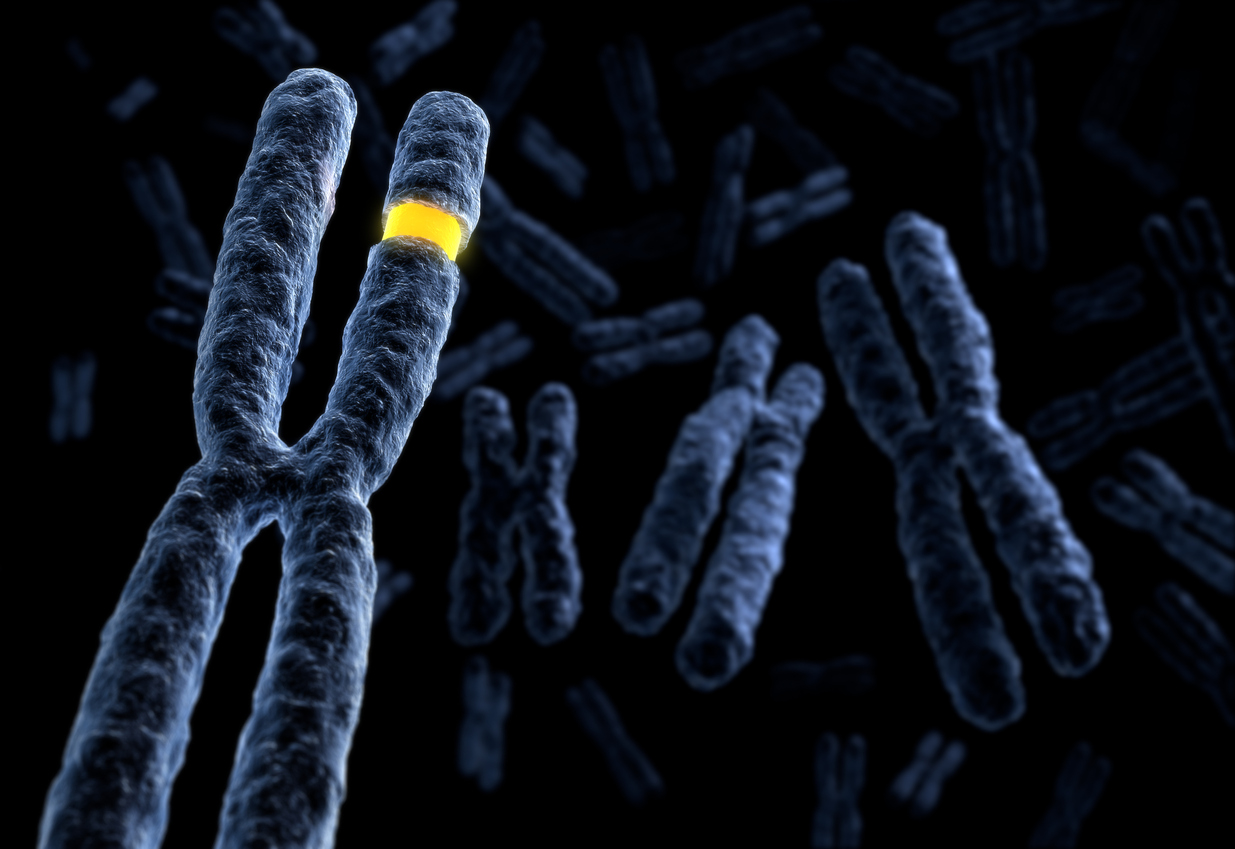 What Is Mosaicism Sharing Healthy Genes 