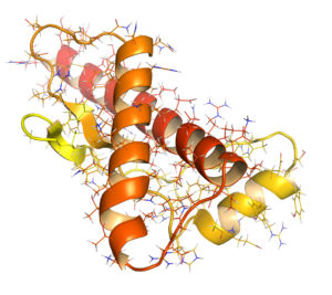 Human prion protein (hPrP)